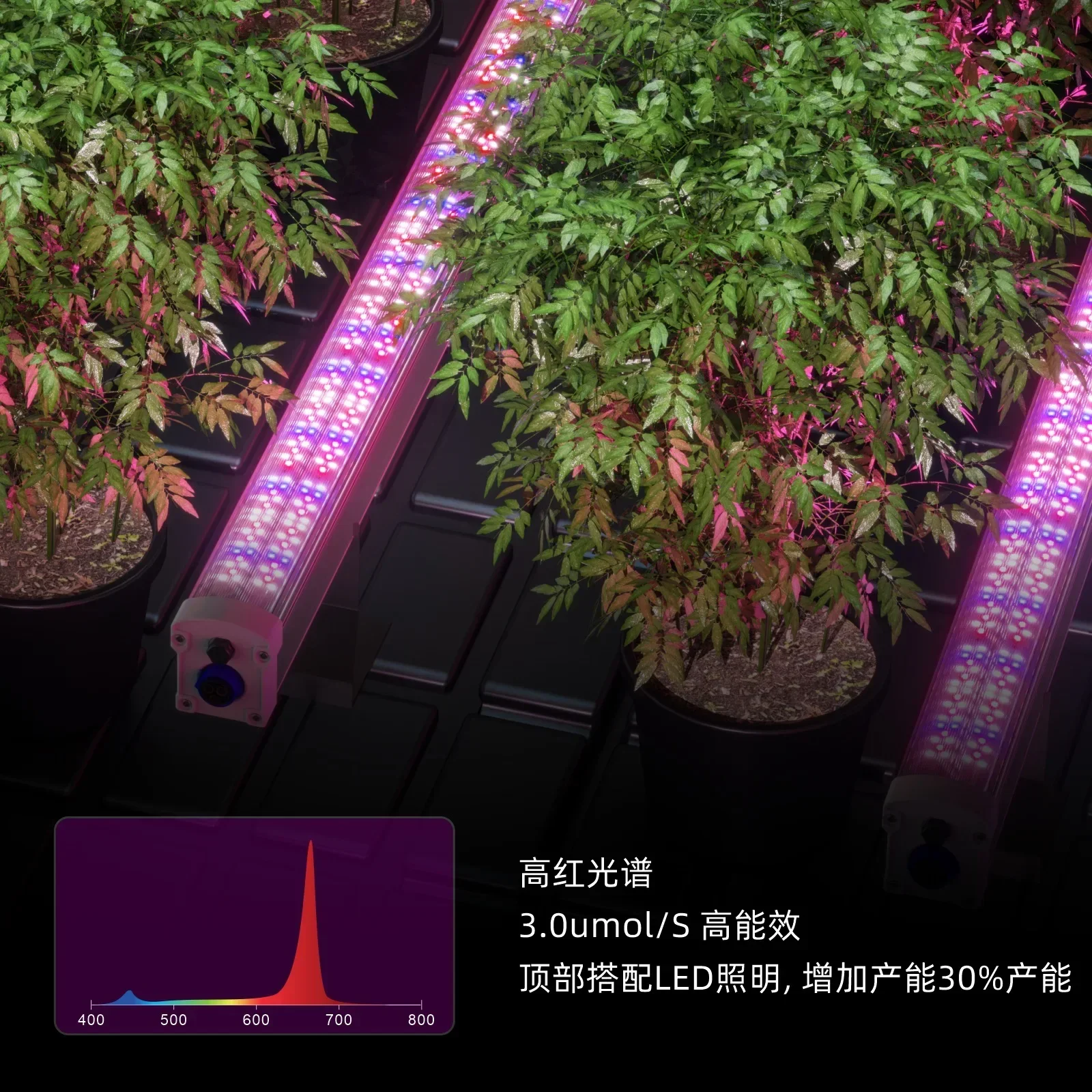 Full spectrum LED plant light under tree light planting greenhouse vegetable seedling bottom fill light