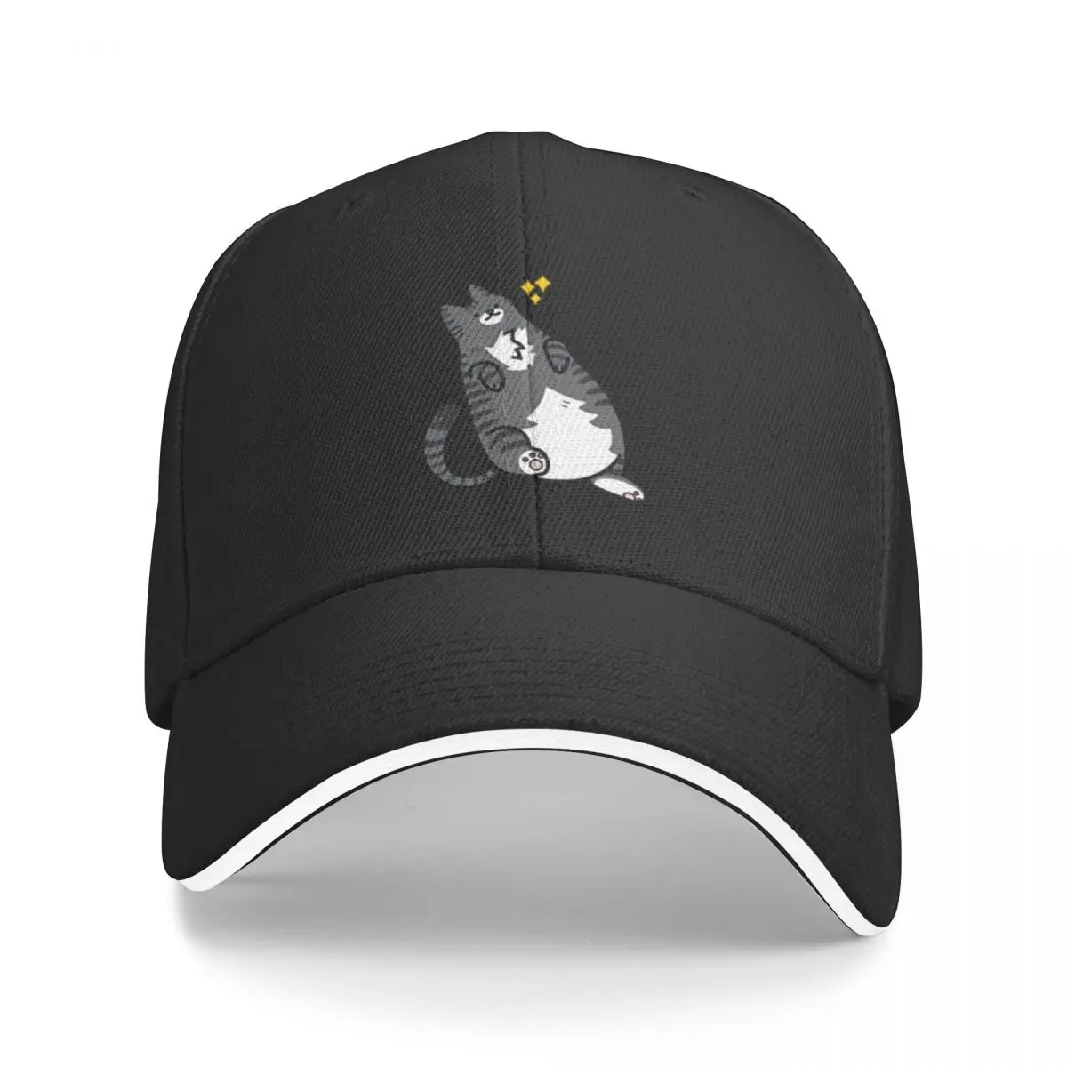 Cat Laying Down A Baseball Caps Hat