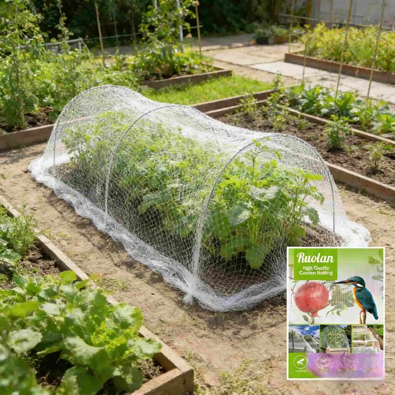 

Специальная сетка для защиты от птиц и насекомых для овощей, фруктов и цветов, ультратонкая плотная сетка для тепличного выращивания