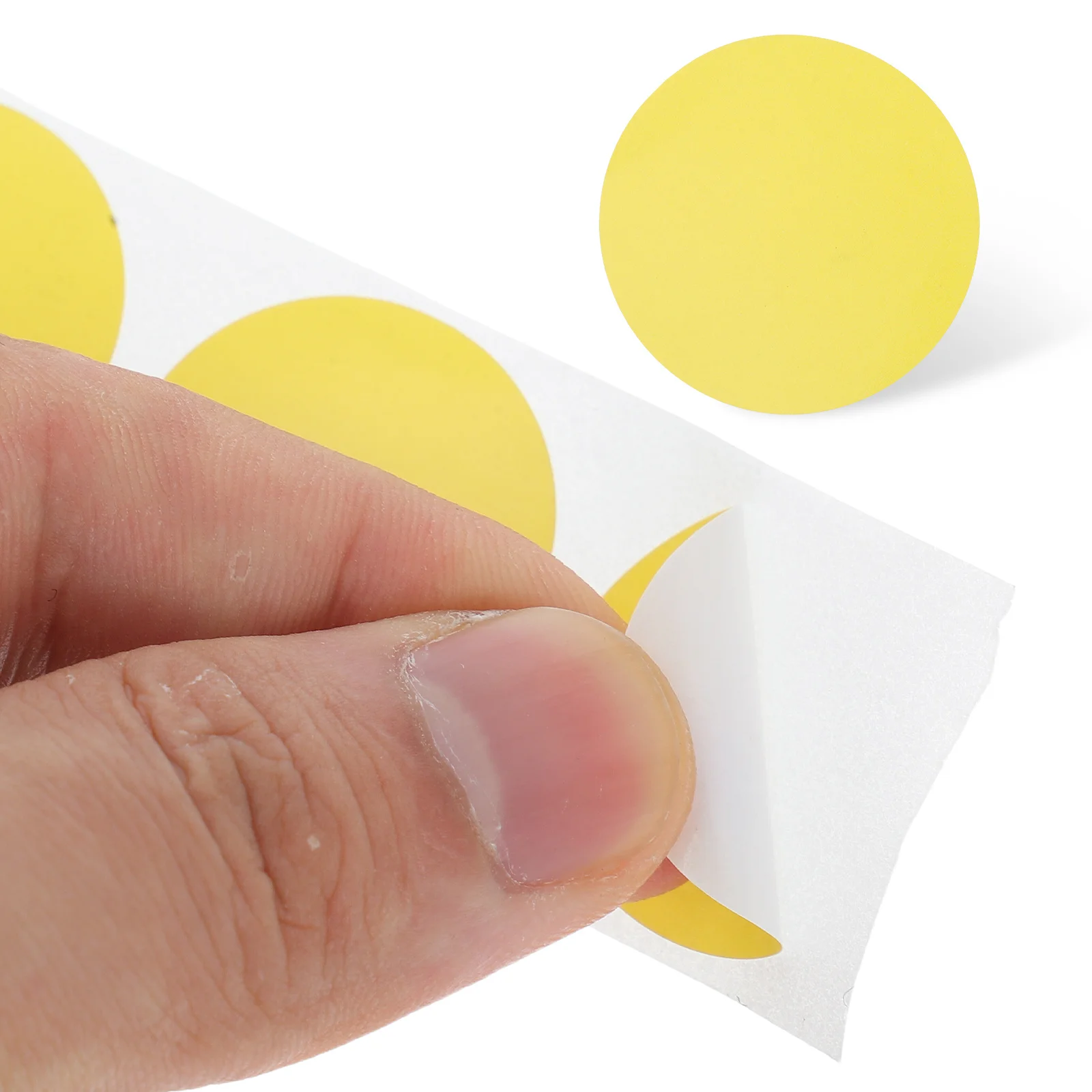 2 Rolls 2.5 Cm Blank Round Stickers Self Adhesive Glossy Paper Labels For Color Coding Packing Moving Crafts Office Warehouse