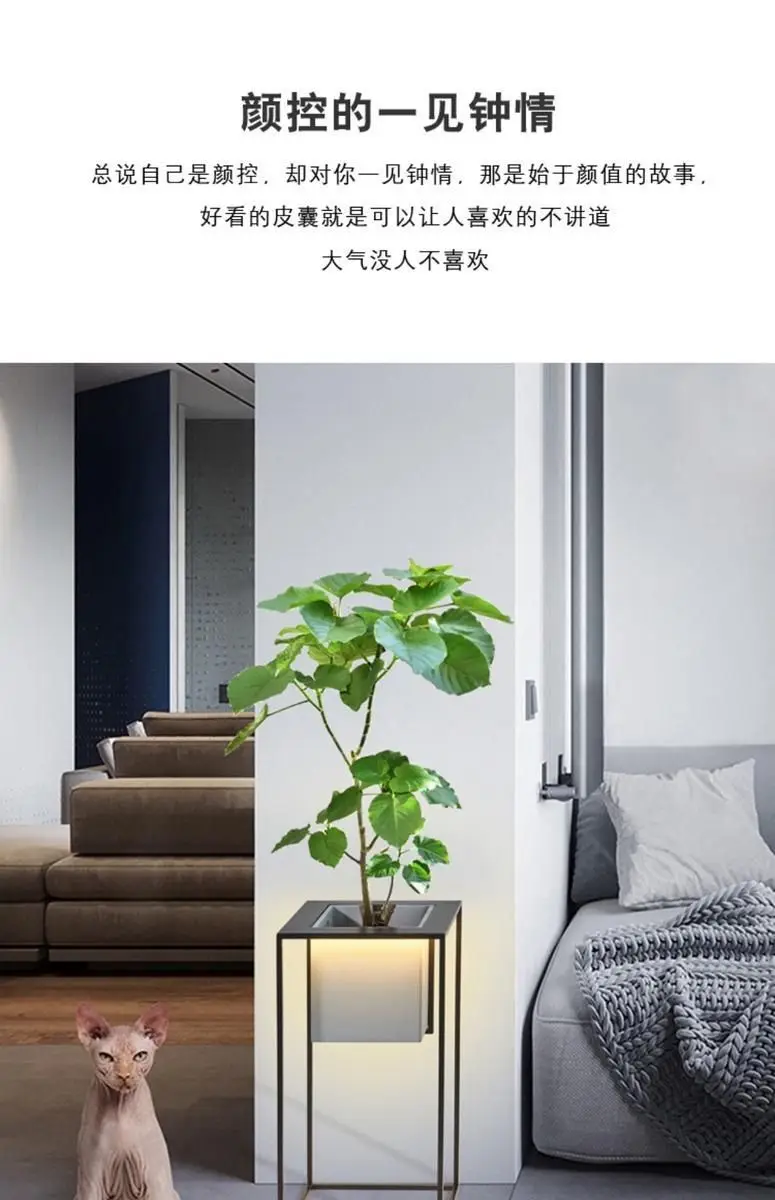 portafiori-da-soggiorno-accanto-alla-tv-lussuoso-da-pavimento-a-soffitto-per-interni-di-alta-gamma-creativo-semplice-in-ferro-battuto