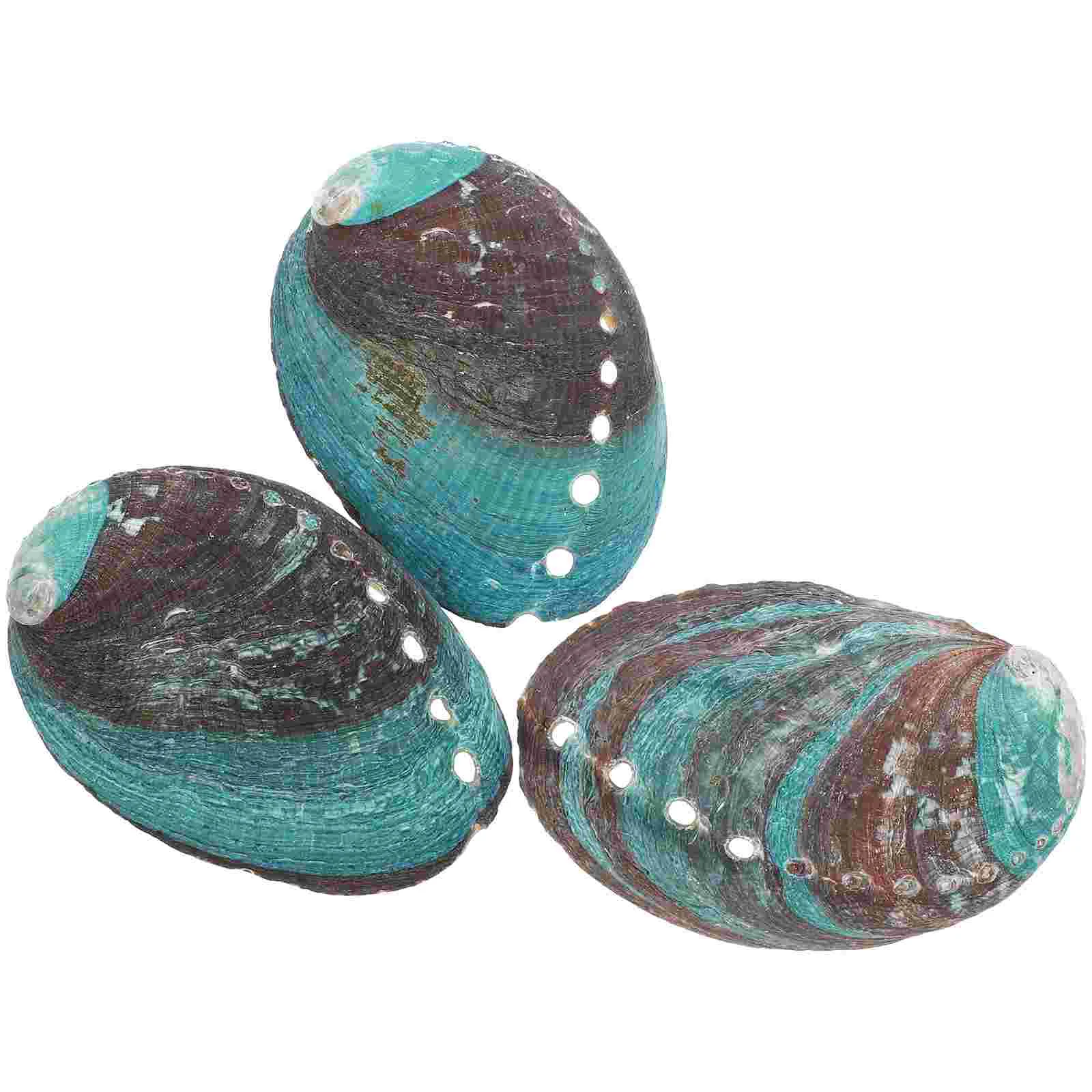 

3 Pcs Shell Holder Natural Abalone Decorative Ornaments Sink Tray Bowl for Smudging Smudge Black