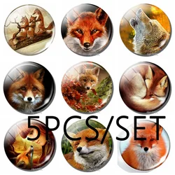5Pcs/lot Beatrix Potter Art Handmade Pendant Glass Cabochon Jewelry Accessories The Tale of Mr. Tod Fox