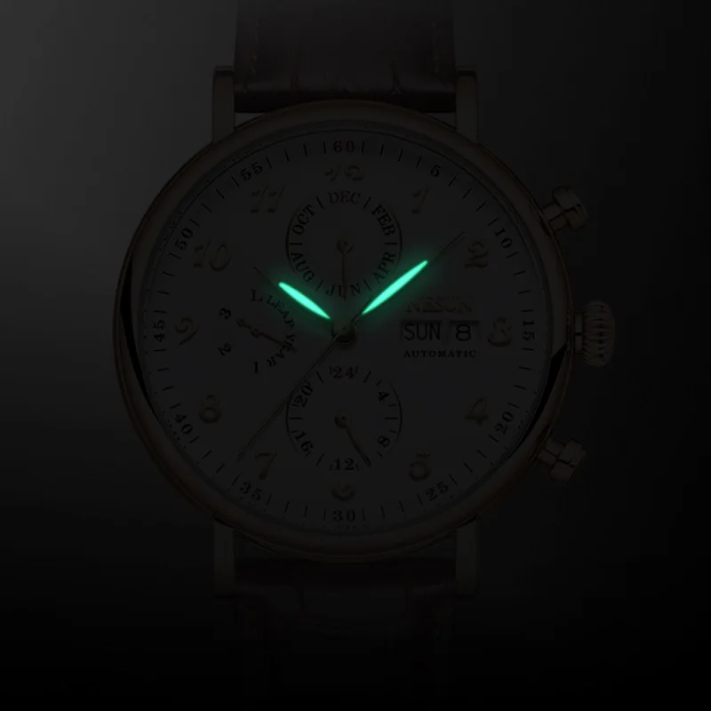 NESUN automatic mechanical watch for men, multi-functional mechanical watch, skeleton men's watch, gentleman's wristwatch