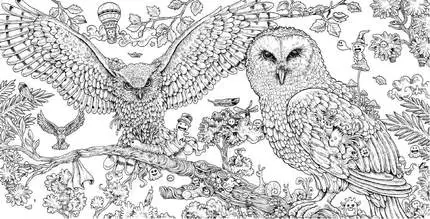 96 Pages Animorphia Coloring Book For Adults Children Develop Intelligence Relieve Stress Graffiti Painting Drawing Books