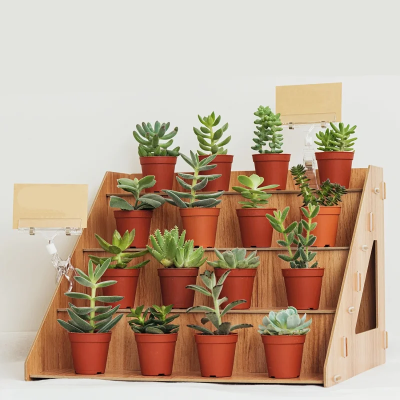 Wooden Display Rack, Farm Market Craft Fair Stand, Candle And Soap Display Shelf, Pop-Up Shop Countertop Organizer for Cups