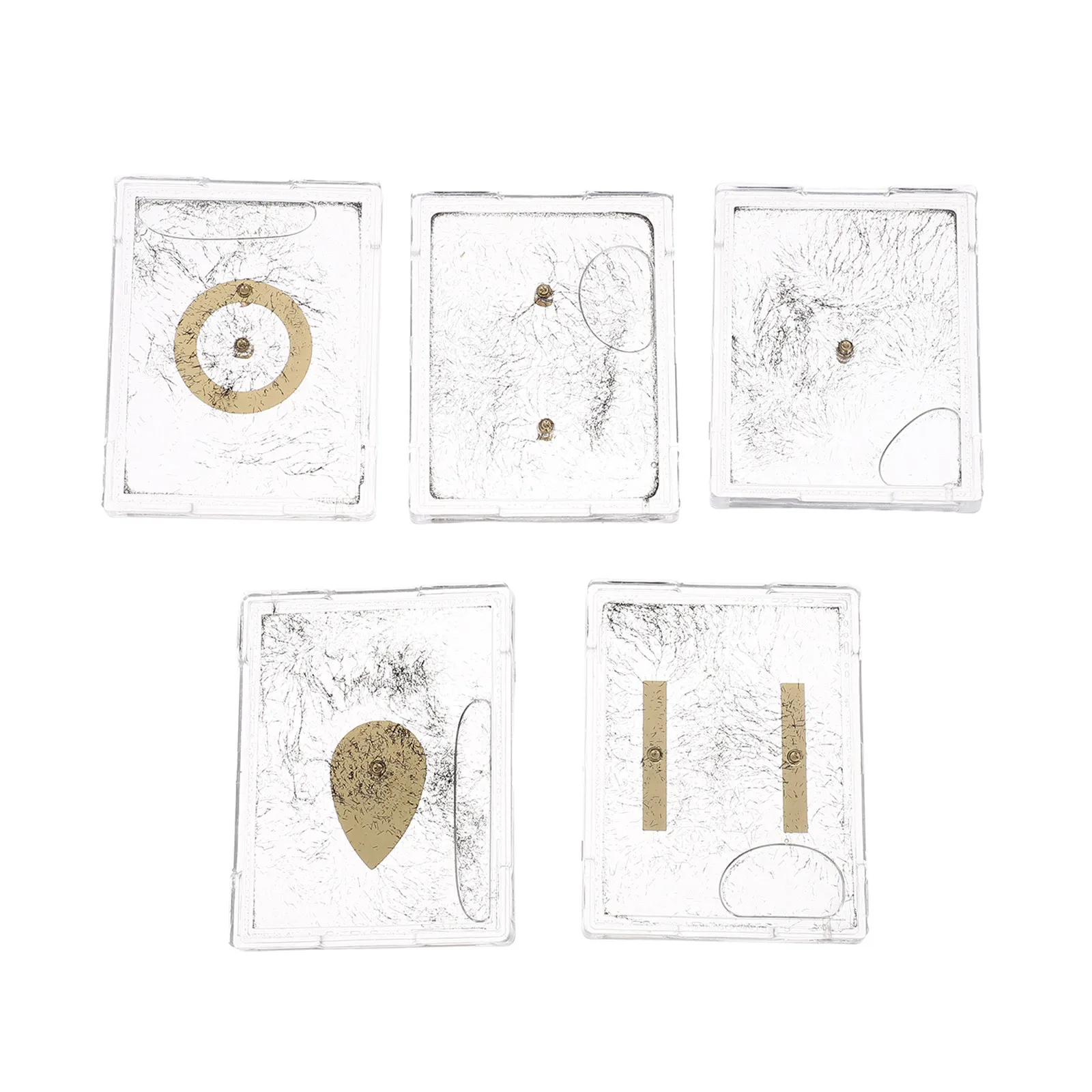 5Sets Magnetic Field Demonstration Device Physics Electromagnetism Teaching Tool Iron Powder Filings Student Science Experiment