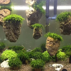 Suspended Stone with Moss for Fish Tank, Aquarium Decorative, Aquatic Plants Landscaping, Natural Avatar Effect with Rope