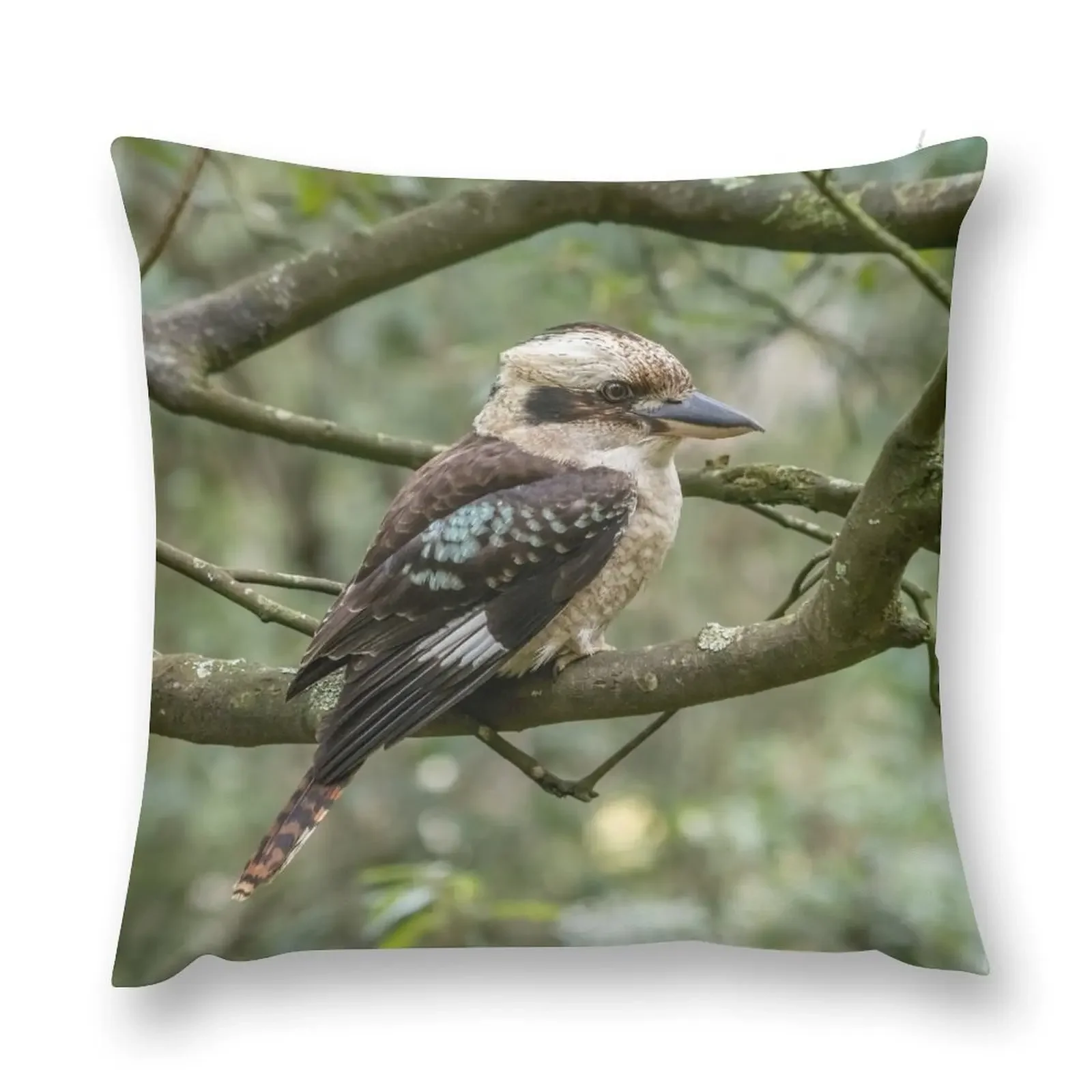 Grant's Kookaburra - Australian Bird Gift Throw Pillow Decorative pillow case Sofa Cover pillow