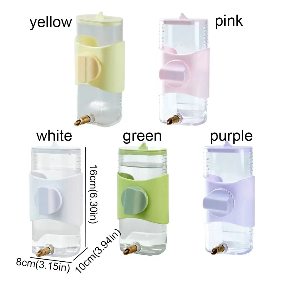 Parrot Striking Needle Water Dispenser Large Capacity Automatic Water Bottle Bird Water Dispenser