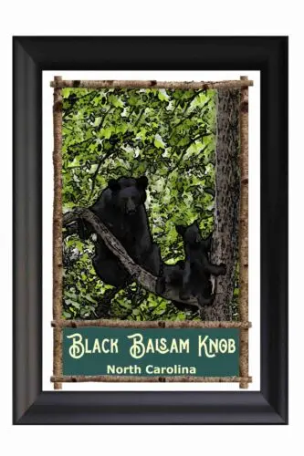 Black Balsam Knob NC Travel Poster, Canvas Wrap, Framed, Metal Tin Sign