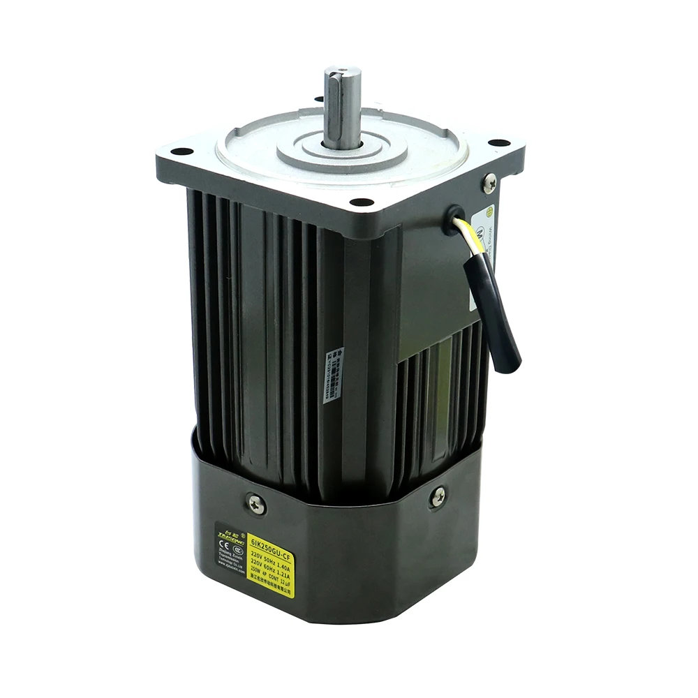HLTNC 250W AC 110V 220V 50 60Hz Induction Gear Motor With Speed 1400 Rpm to 5rpm 104mm Flange Engine for CNC Packaging Machine