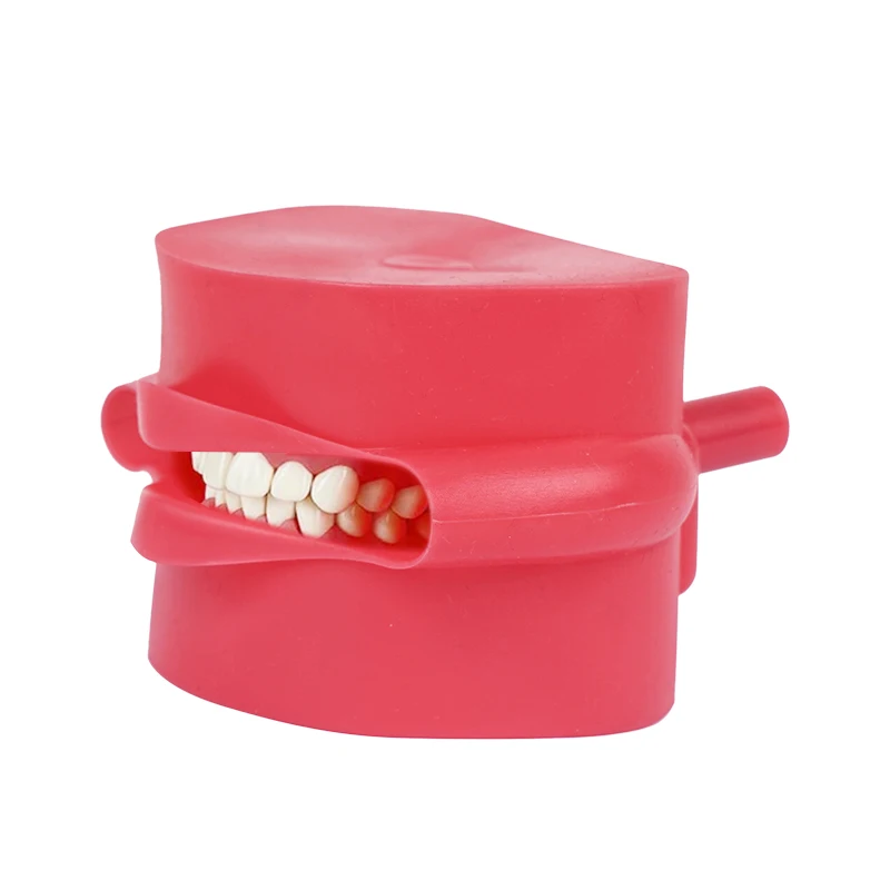 

1pc Dental Teeth Model Silicone Mouth Mask Holder Decor Replacement for Dental Technician Training Simulation Training Model