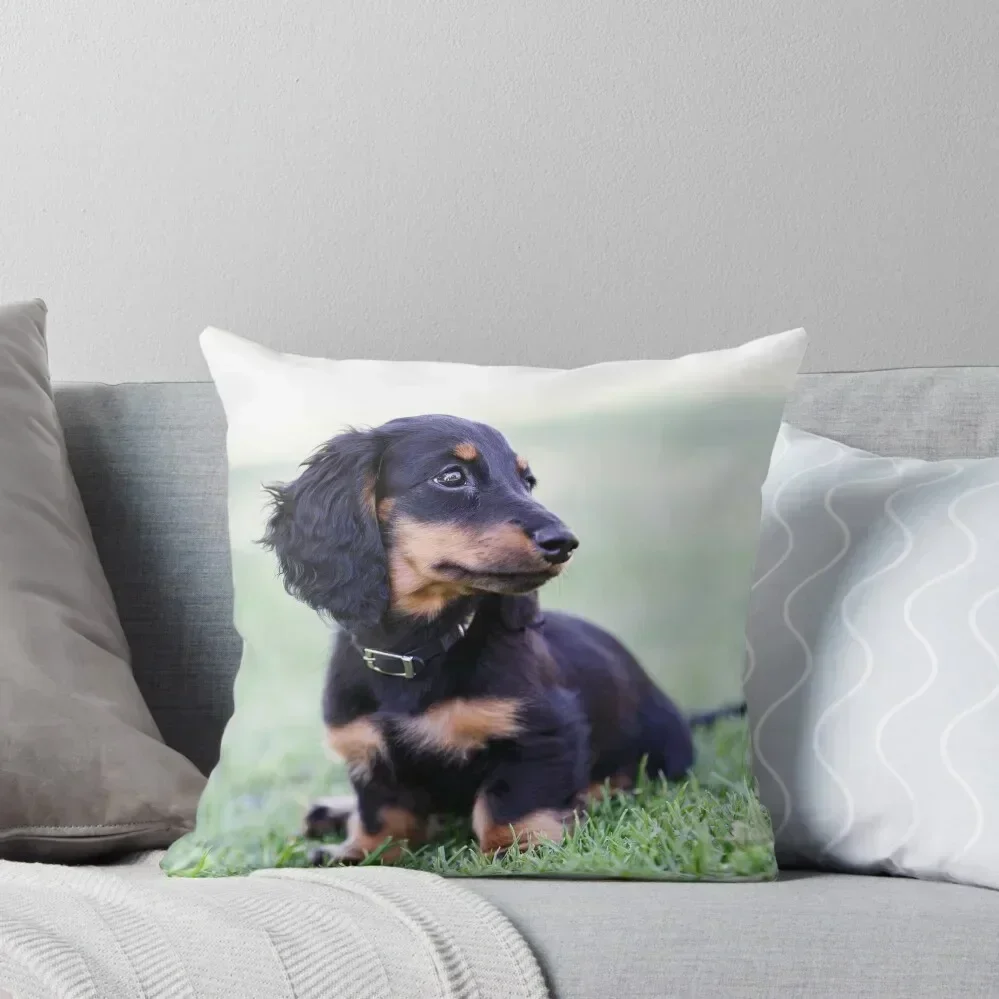 Miniature Long Haired Daschund Throw Pillow Cushion Cover Luxury Sofa Cushions pillow