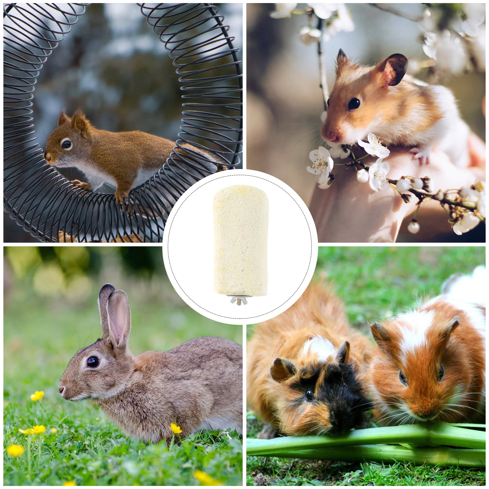 

Pumice Chew For Small Animals Ledge Random Color Grinding Stone For Hamster Rabbit Rat Gerbil Mouse Cage Pet Rodent