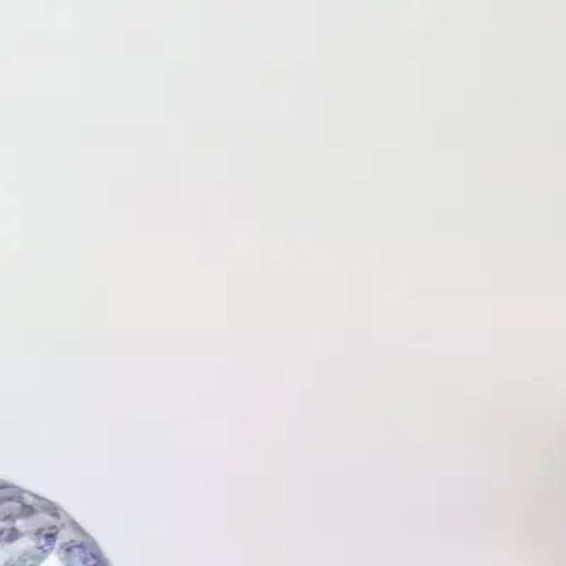 ชุดอุปกรณ์ฝึกทำเล็บปลอมพร้อมที่วางแม่เหล็กสำหรับติดเล็บปลอม  แบบมีกลิตเตอร์ ลายดอกไม้  วัสดุพลาสติก  อุปกรณ์ทำเล็บ