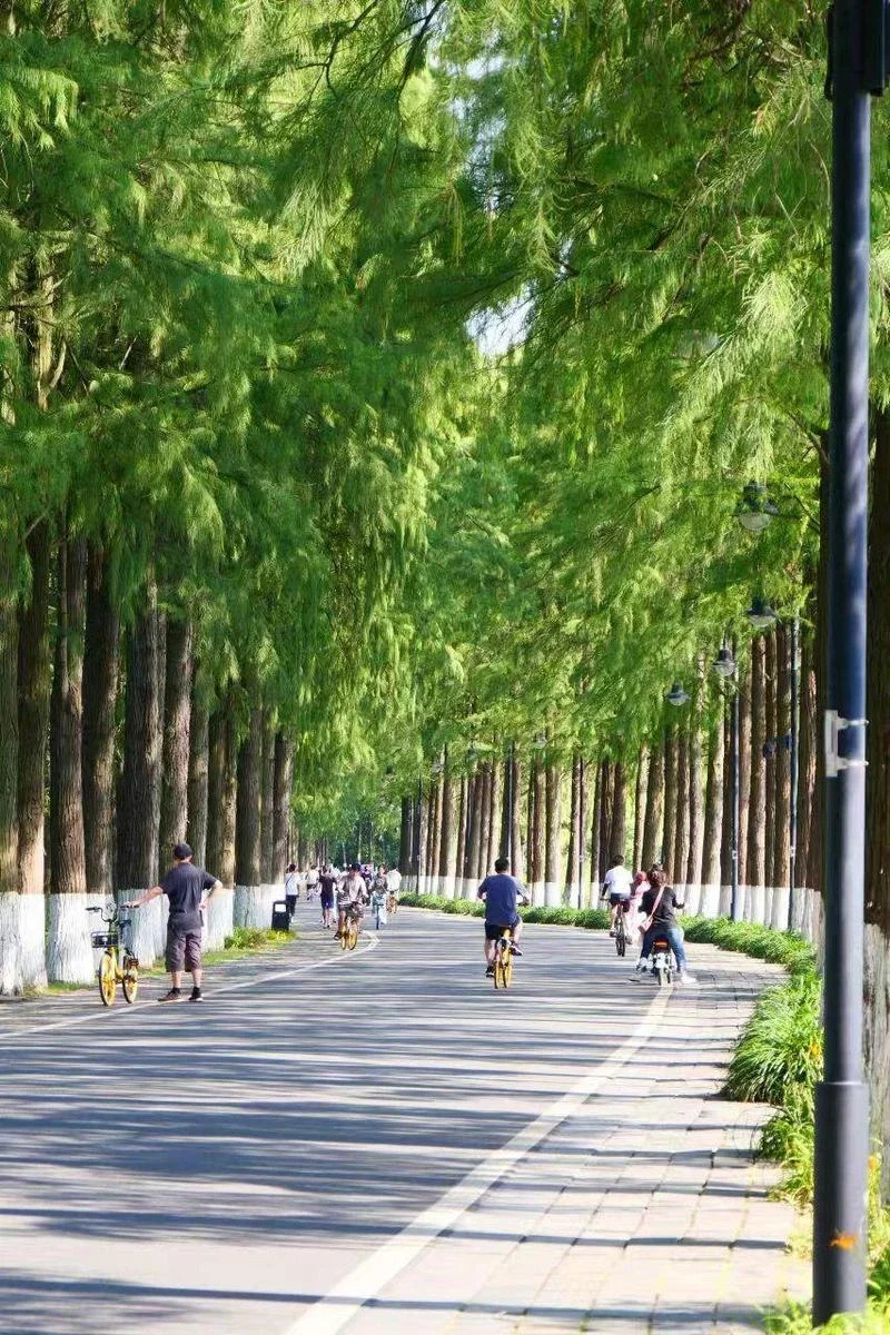 

4pcs for Suzuki Vitara 2005-2019 Mudguards Fender Mud Flap Guard Splash Mudguard Fenders Mudflaps Car Accessories