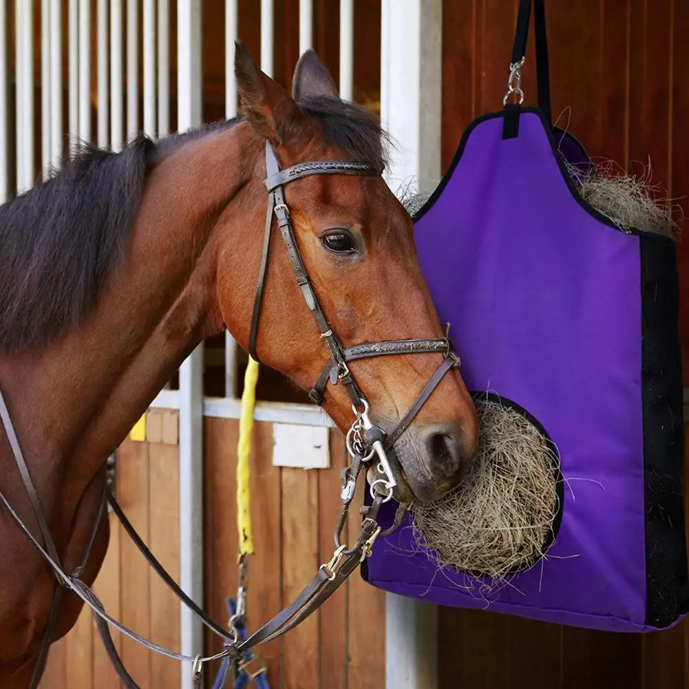 Equipaggiamento protettivo per cavalli fasce per gambe di cavallo equestre per assorbimento degli urti Set di protezione dal fango di 2 sport di cavalli per equestri