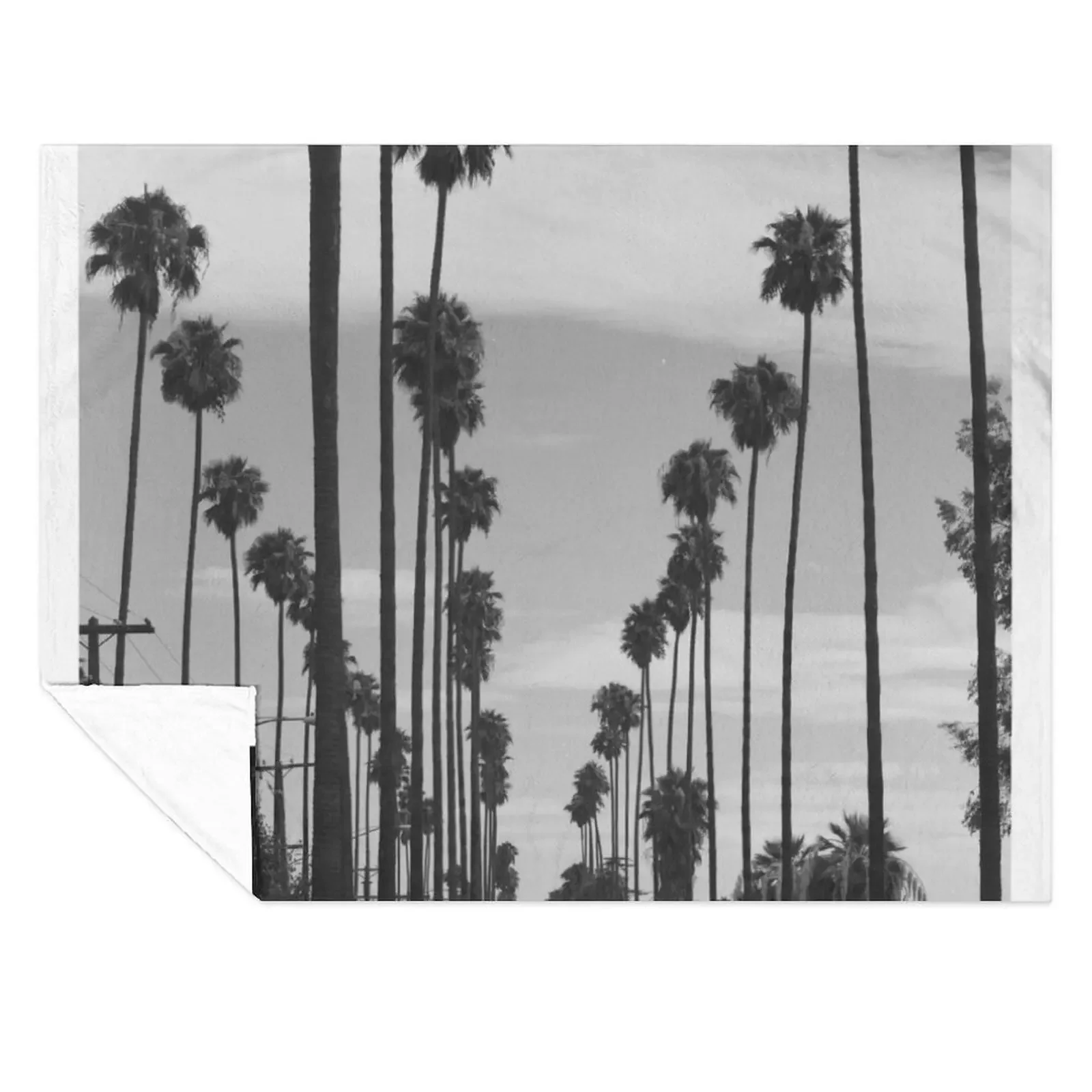 

Vintage Black & White California Palm Trees Photo Throw Blanket Flannels Furrys Luxury Throw Designers Blankets