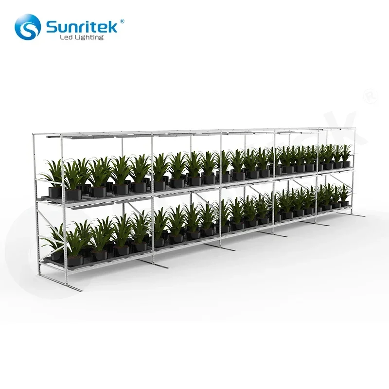 

Factory Hydroponic flood tables and trays greenhouse nursery steel rolling benches galvanized Vertical grow rack for plants