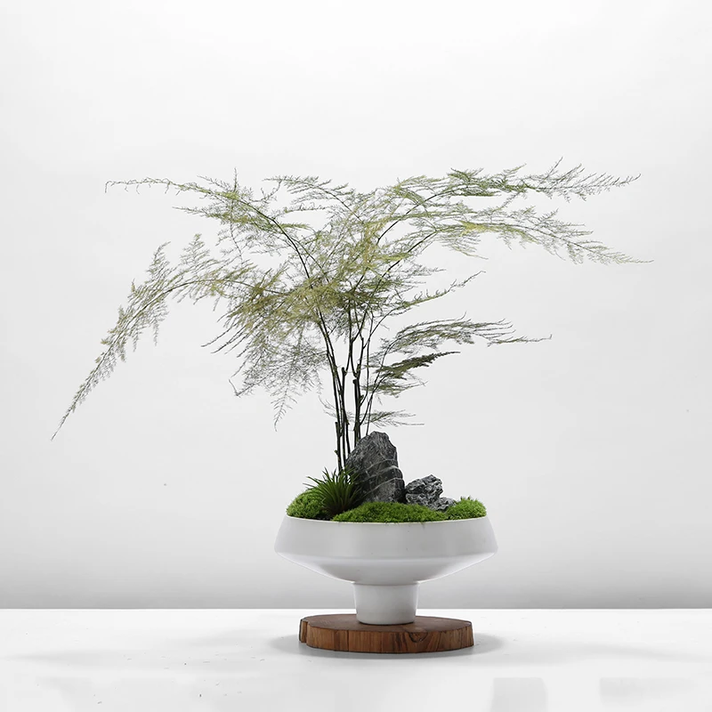 

Современные китайские и японские украшения в стиле дзен: сухоцветы, мх и бамбук для декора чайной комнаты, кабинета, чайного столика, дома, входной зоны