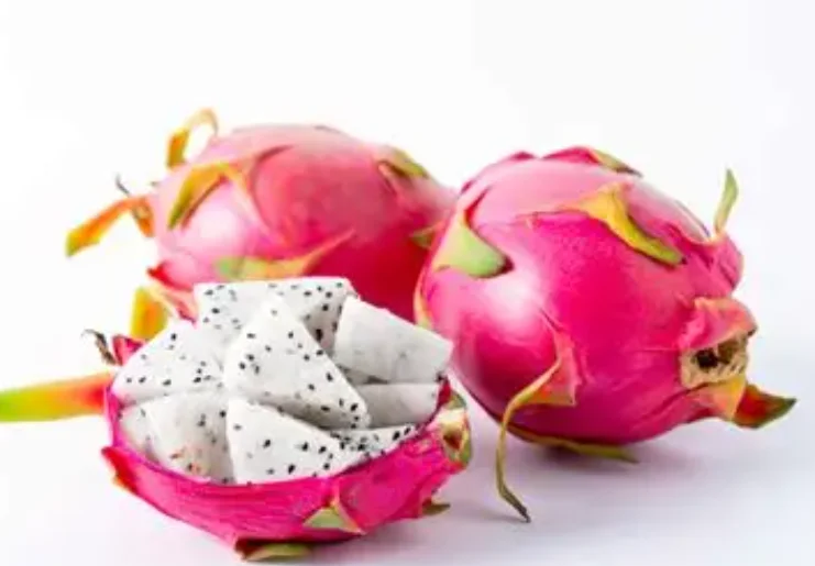 

A6130700987 Inyector Nozzle 0445110205 0445110206 Diesel Fuel Injector 0445110120 0445110121 for Mercedes-Benz A6130700687