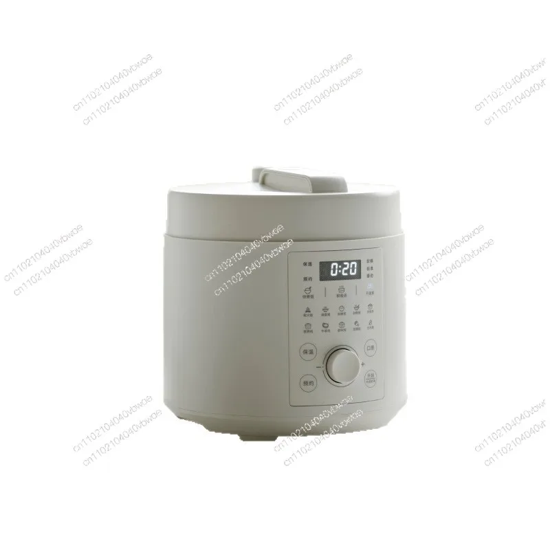 5L Electric Pressur…