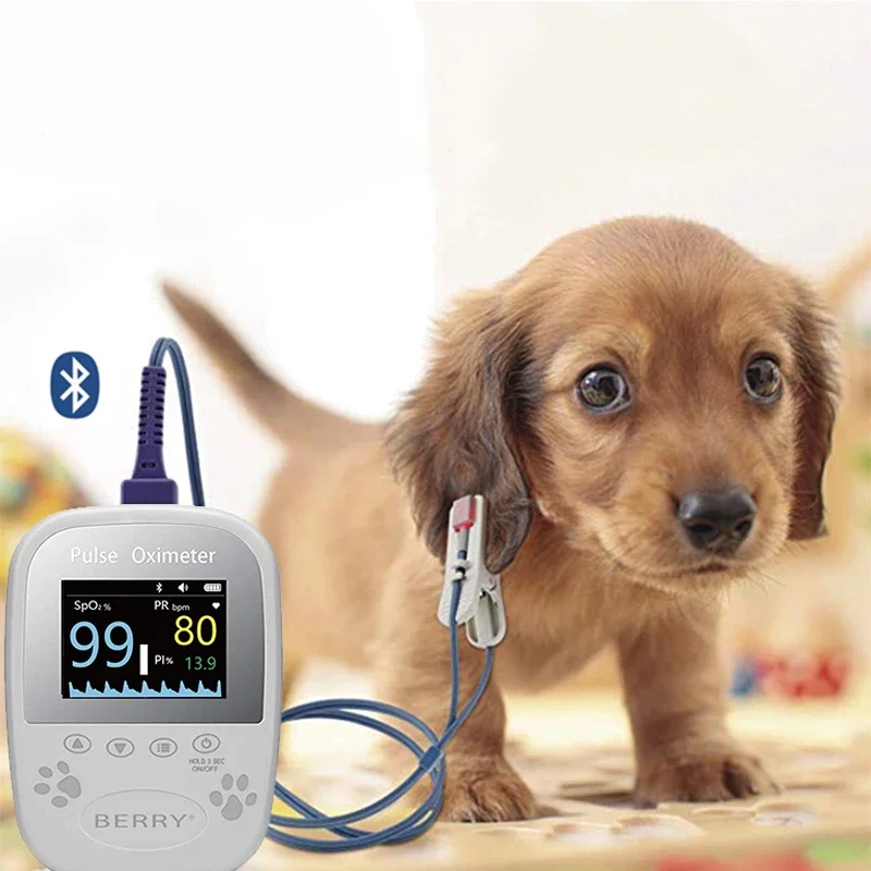 RTS01Handheld Vet Pulse Oximeter Animal Hospital Use Pulse Oximeter Diagnosis &  Small Animal Veterinary for Pet
