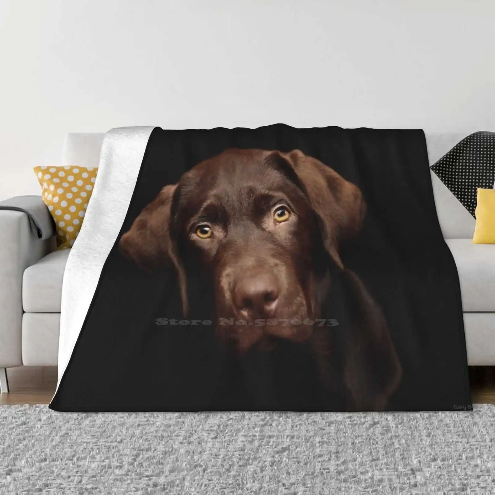 Frank Low Price New Print Novelty Fashion Soft Warm Blanket Animals Dogs Pets Chocolate Labrador Cute Puppy