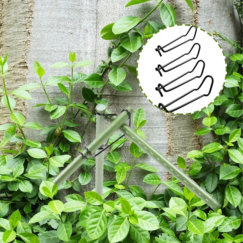 20PCS Garden Trellis Clips Metal Plant Vine Stakes Connectors Climbing Frame Buckles For Tomato Cucumber Vegetable Support