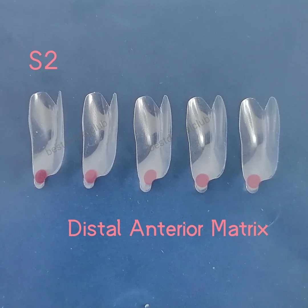 Dental Widening Front Tranparent Clear Matrix BT Matrices Fits BioClear S2