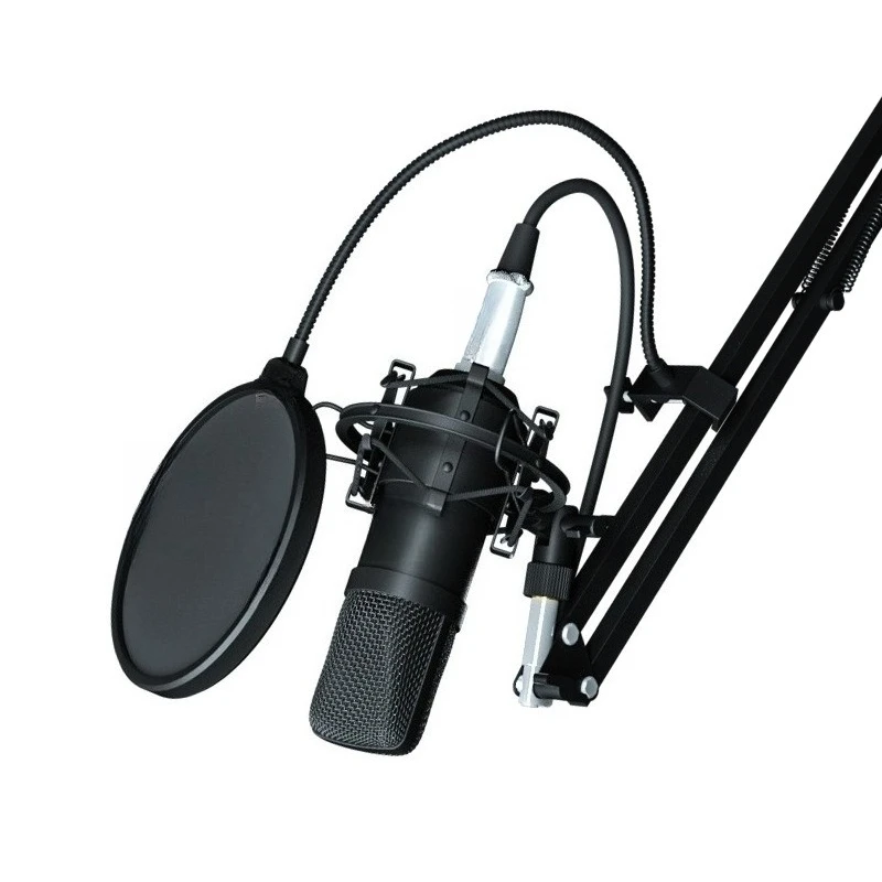 

Live broadcast equipment, full set of cantilever brackets, live streaming host wired capacitor radio microphone
