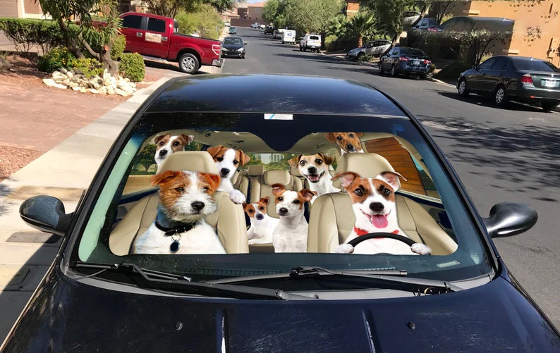 Jack Russell Terrier Car Sunshade, Dog Car Decoration, Dog Windshield, Dog Lovers, Dog Car Sunshade, Gift For Mom, Gift For Dad