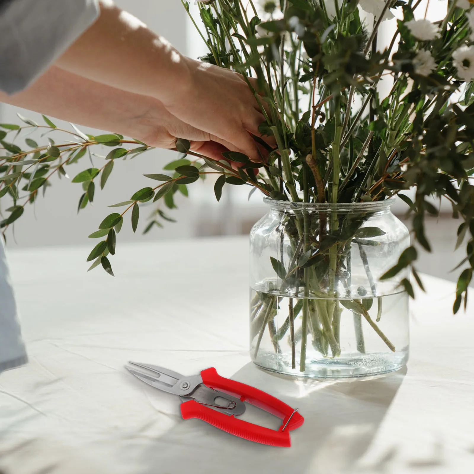 

Fruit Tree Scissors Pruning Shears Stainless Steel Double Mouth Lightweight Gardening Supplies Branch Vegetables Flowers