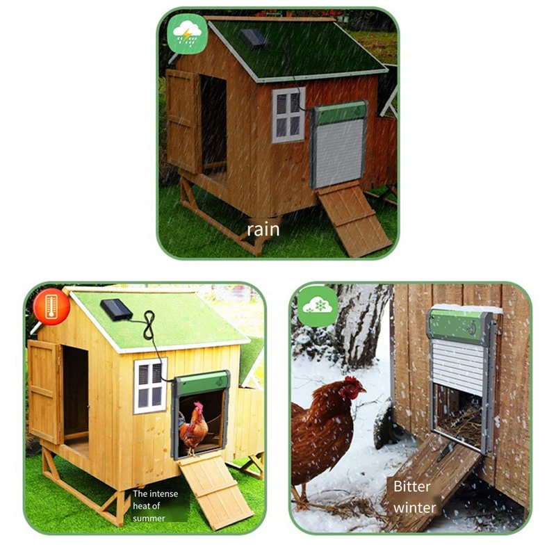 Automatic Chicken Coop Door Solar Powered With Timer And Light Sensor Chicken Door With Remote Control IP67 Weatherproof Durable