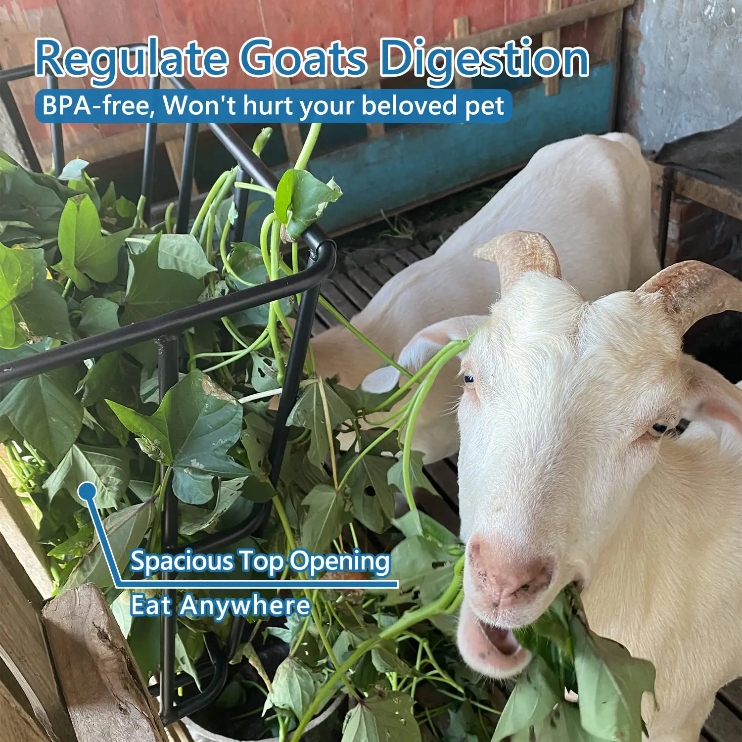 

Outdoor Wall Mount Hay Rack Heavy Duty Livestock Feeder for Sheep, Goats, Horses