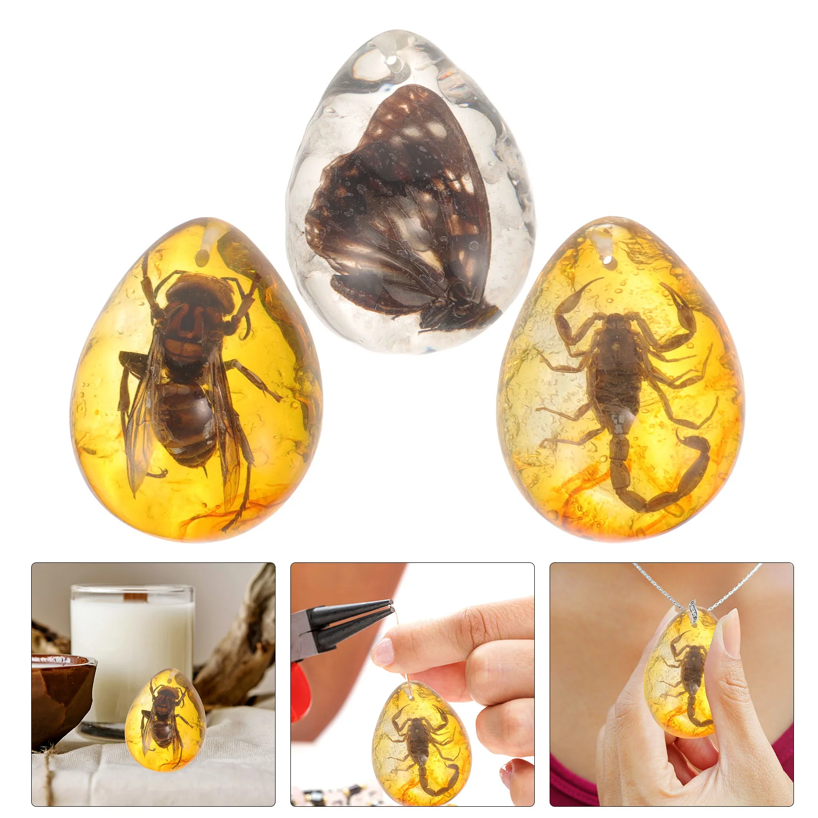 

3 Pcs Insect Amber Specimen Collection Sample Pendant Decoration Observation Specimens