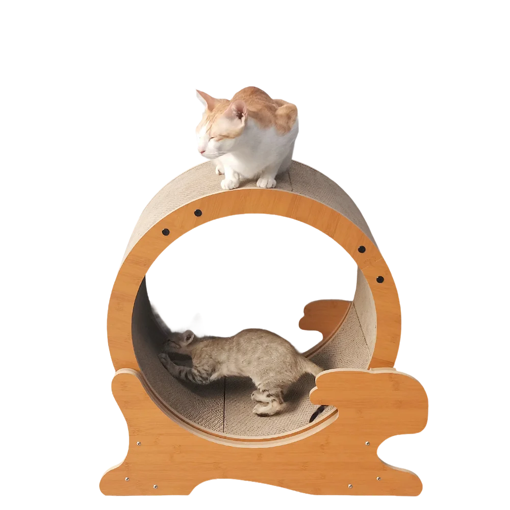 

Cat Running Wheel Cat Wheel Exercise Pet Treadmill Walking Training Machine for Cats Slient Storage Pet Play Equipment