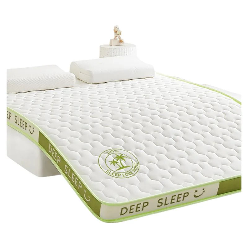 Sponge Mattress Elastic Cushion Home Double Foldable Memory Foam Latex Tatami Mat Students Dormitory Single Sleeping Mattresses