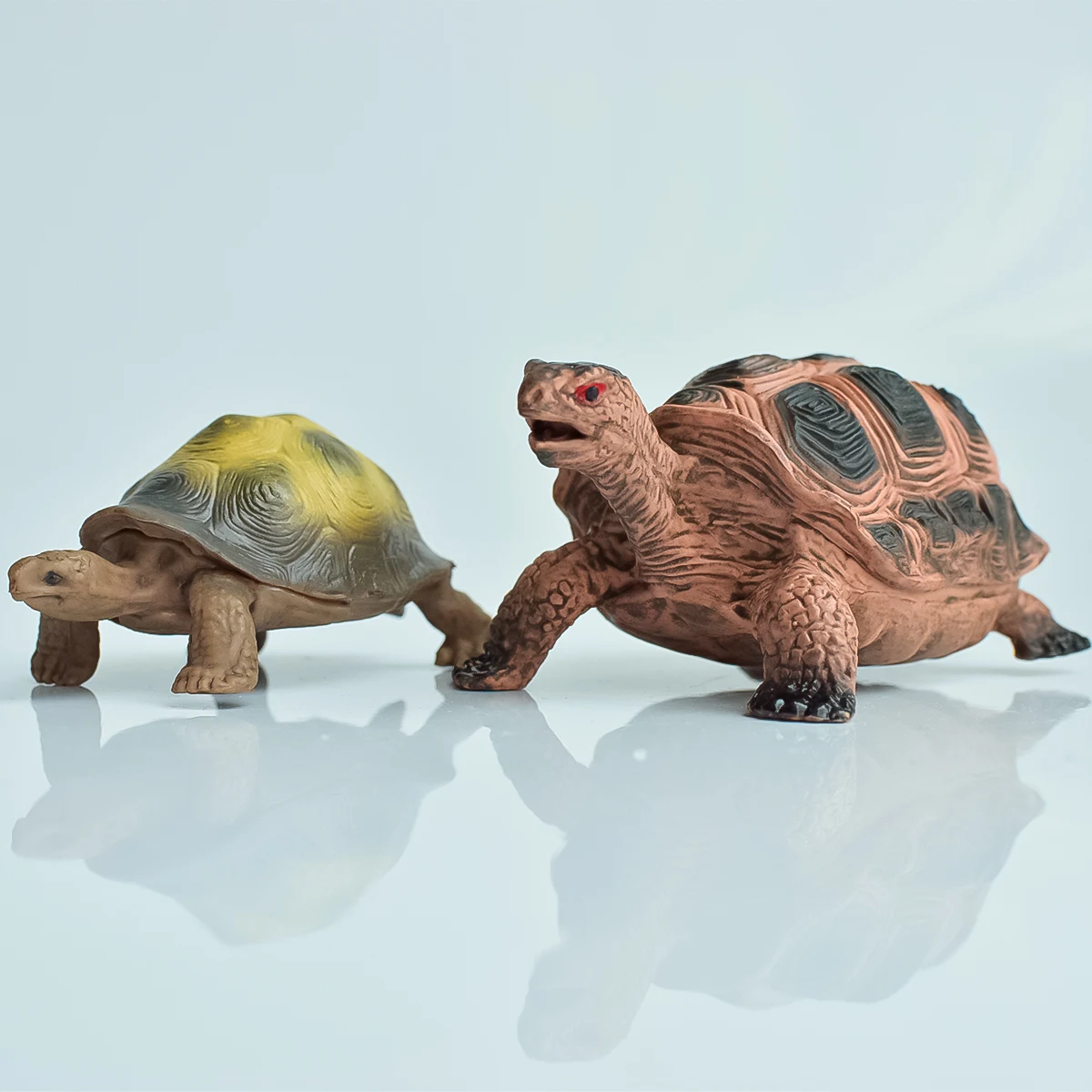 

Окрашенная реалистичная черепаха-животное | Водные экологические животные | Статические декоративные украшения | День рождения, Пасха, Хэллоуин, Рождественские подарки | Компьютерный стол для домашнего офиса, горшечные растения, аквариумы и другие украшен