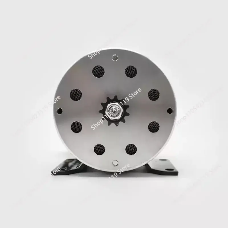 Motor 500W 750W 1000W 24V 36V 48V Electric Shaka Kart Beach Electric Vehicle High Speed Brushed