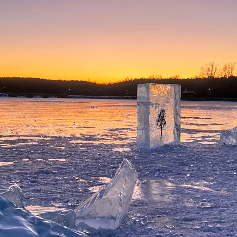 HGLRC MY5 5 - โครงขนาด 5 นิ้ว - ระยะฐานล้อ 225 มม. สำหรับอุปกรณ์เสริมโดรนแข่งแบบฟรีสไตล์ RC