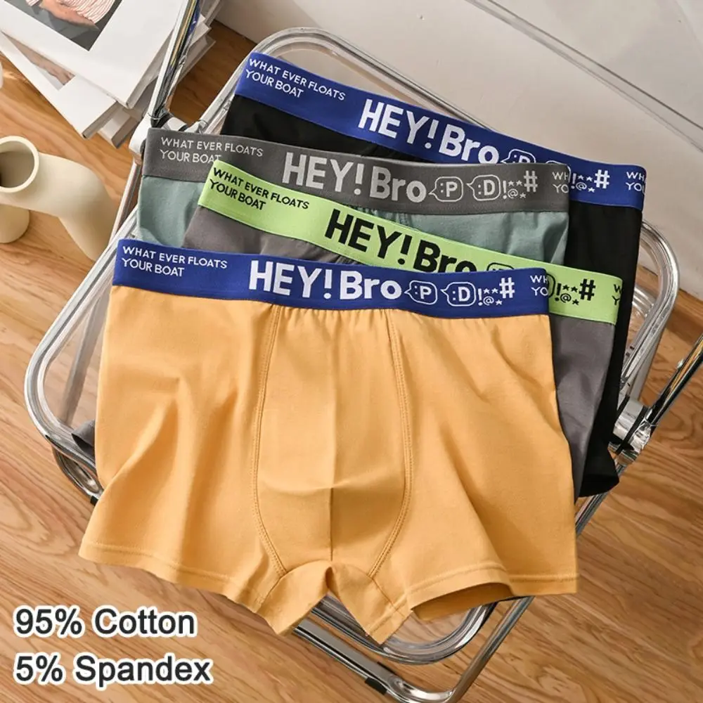 

4PCS Letter Printed Men's Cotton Panties Mid Waist Thin Seamless Underwear for Men Briefs Underpants Male Shorts Boxer Gifts