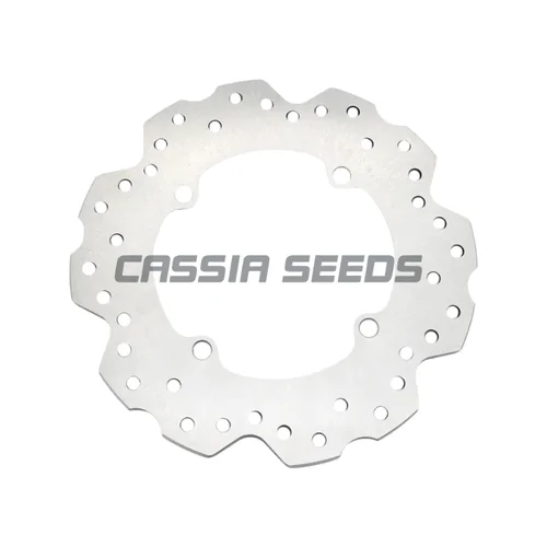 Imagen 2 del producto Disco de freno trasero para motocicleta Honda CBF 500 650 CB 500 F CB500 F FA X CBR 500 650 R CBR500 CB 600 Hornet CBF 600 1000 ADV