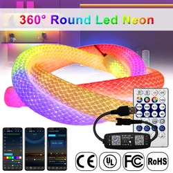 Bande lumineuse LED néon intelligente en silicone flexible, rétiBMO rond, adressable RVB, contrôleur USB, IP67 28 prédire, DC5V, WS2812B, 360