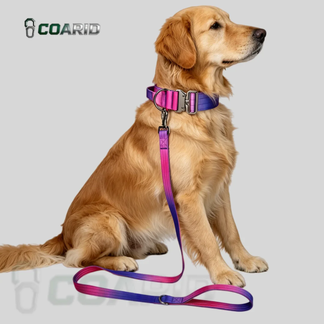 

Dog Collar Gradient Color Nylon, Lightweight Durable Reflective Adjustable, No Pull Pet Collar for Medium Large Dogs