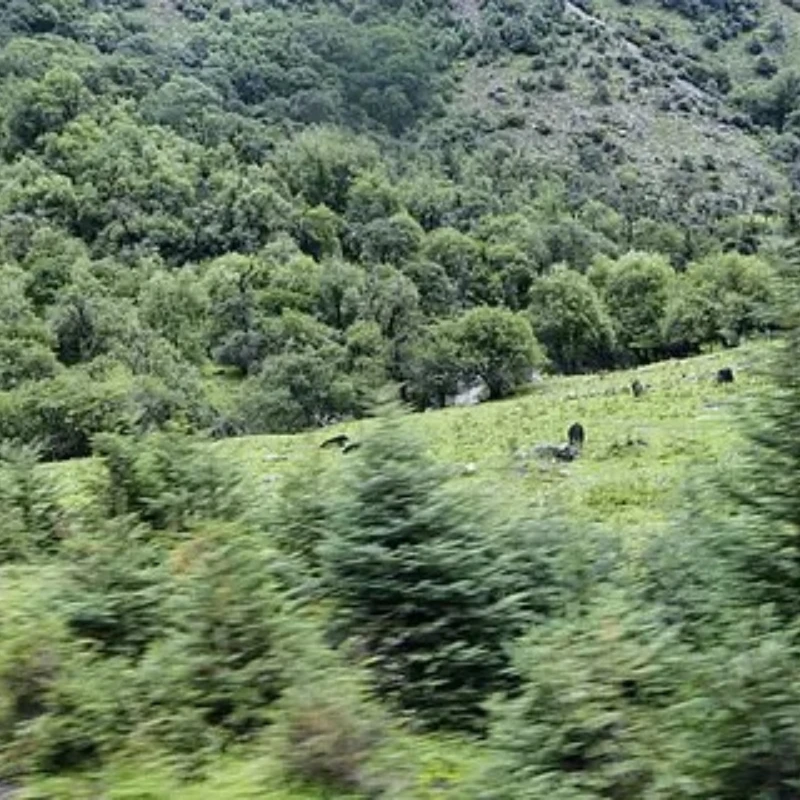 

GEPRC TAKER F722 BL32 Stack 70A Flight Controller Air Unit Connect 3-6S LiPo 9V2.5A 5V3A BEC FPV