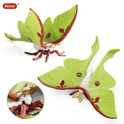10CM Simulation insect Animal model Luna moth Samia cynthia Action figures plastic Figurines Farm series Kids Toys