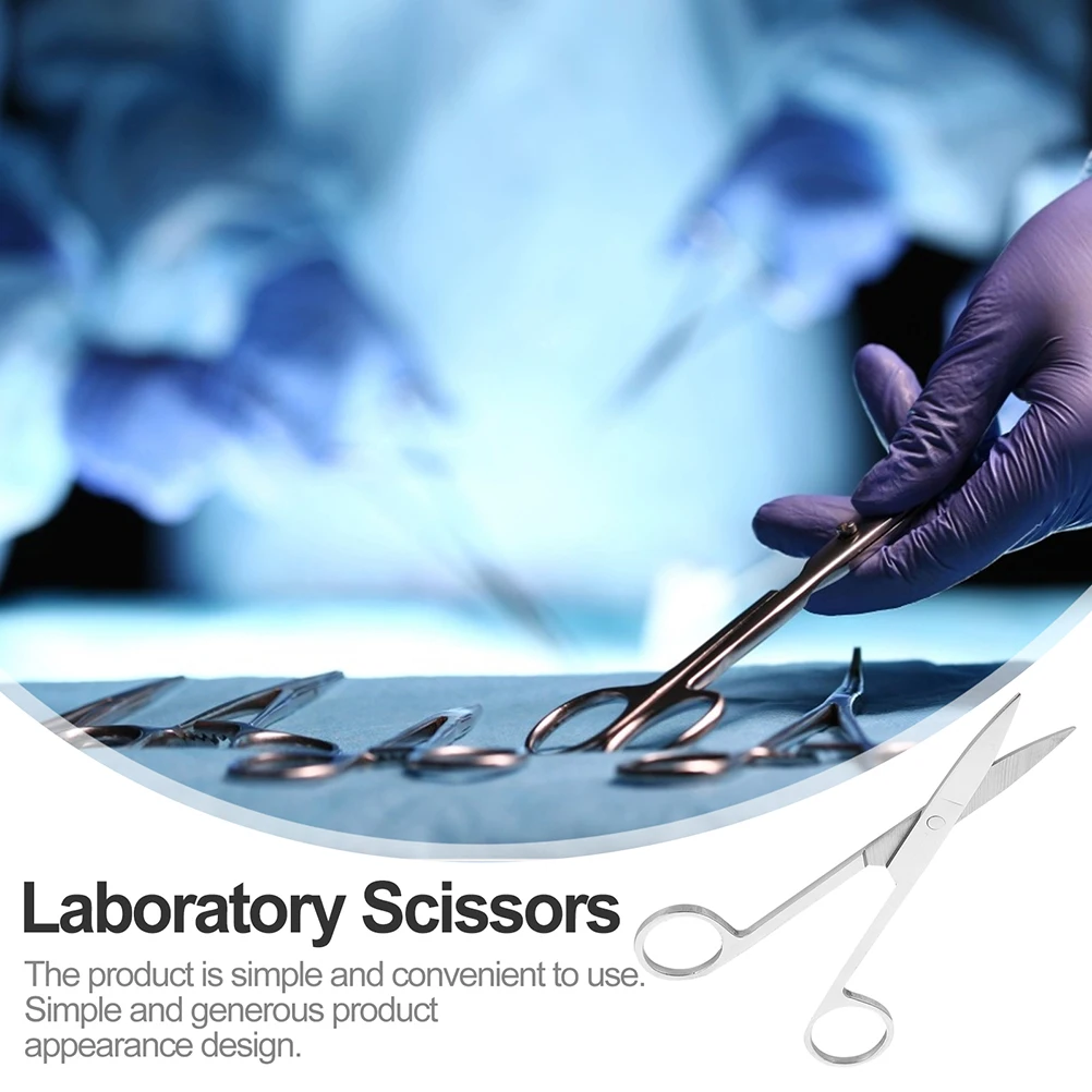

2 Pcs Dissecting Scissors Experiment Animal Nickel Plating Anatomy Surgery Small
