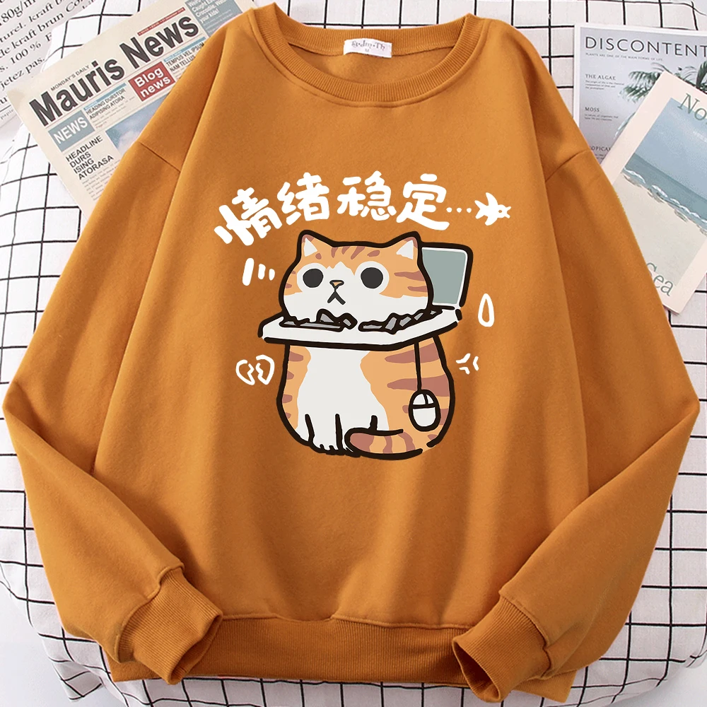 Emotional Stability Fun Cat Cute Print Cartoons Men Women Hoody Casual Comfortable Hoodie Fashion Loose Sweatshirt Clothing